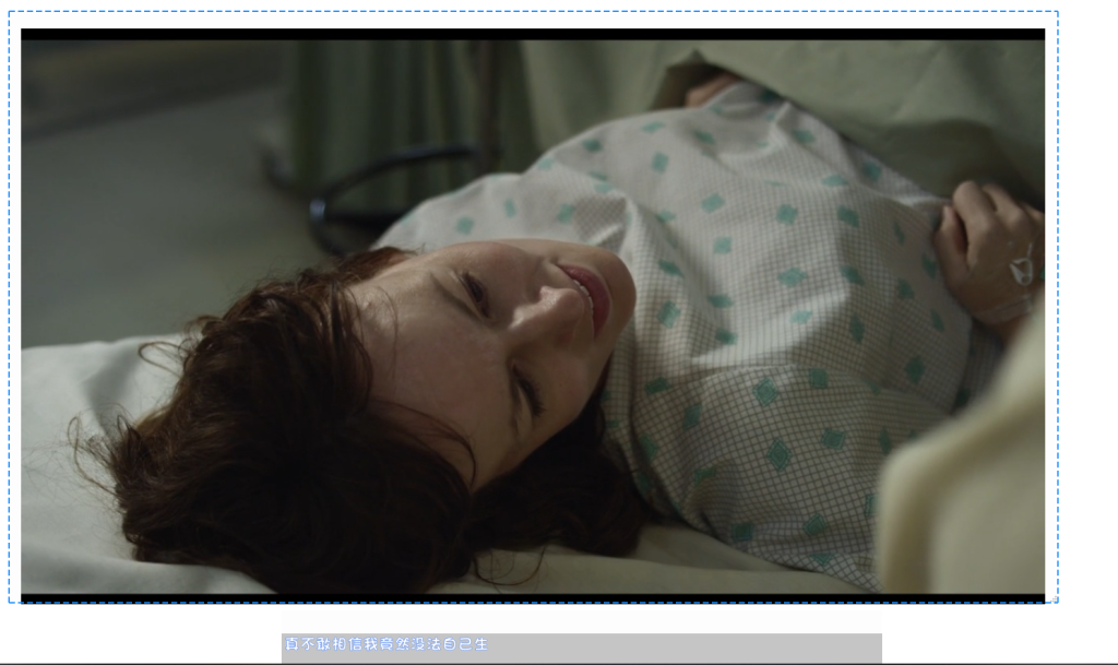 图片[1]-Windows 团子翻译器-免费字幕实时翻译支持多语言v4.5.8-zeli软件岛
